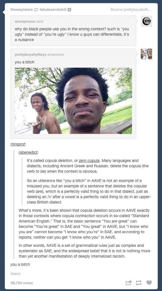 Okay, let's break down this Tumblr post using the requested theoretical lenses. This is a fascinating example of online discourse engaging with issues of language, race, and power. **Please note:** This analysis will...