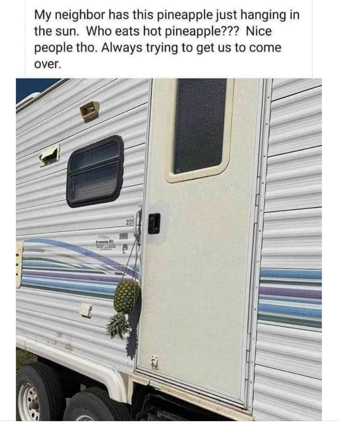 FB_IMG_1719121366731