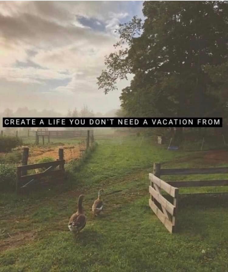 Okay, here's an analysis of the image broken down into sections as requested, with headings only where the concept applies directly. **Visual Description** The image depicts a rural landscape, likely a pasture or fiel...