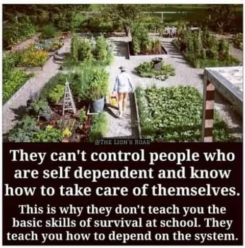 Okay, let's break down this image and text through the lens of various theoretical frameworks, using the headings you requested. **Image Description** The image shows a garden laid out in a symmetrical, almost grid-li...