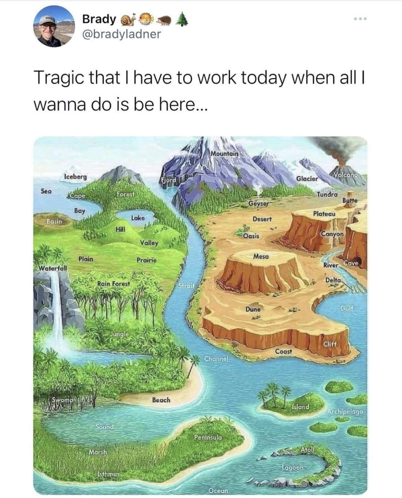 Okay, here's an analysis of the image and accompanying tweet, broken down into sections as requested. I'll only include sections where the analysis applies. Given the nature of the image and tweet, some analyses are m...