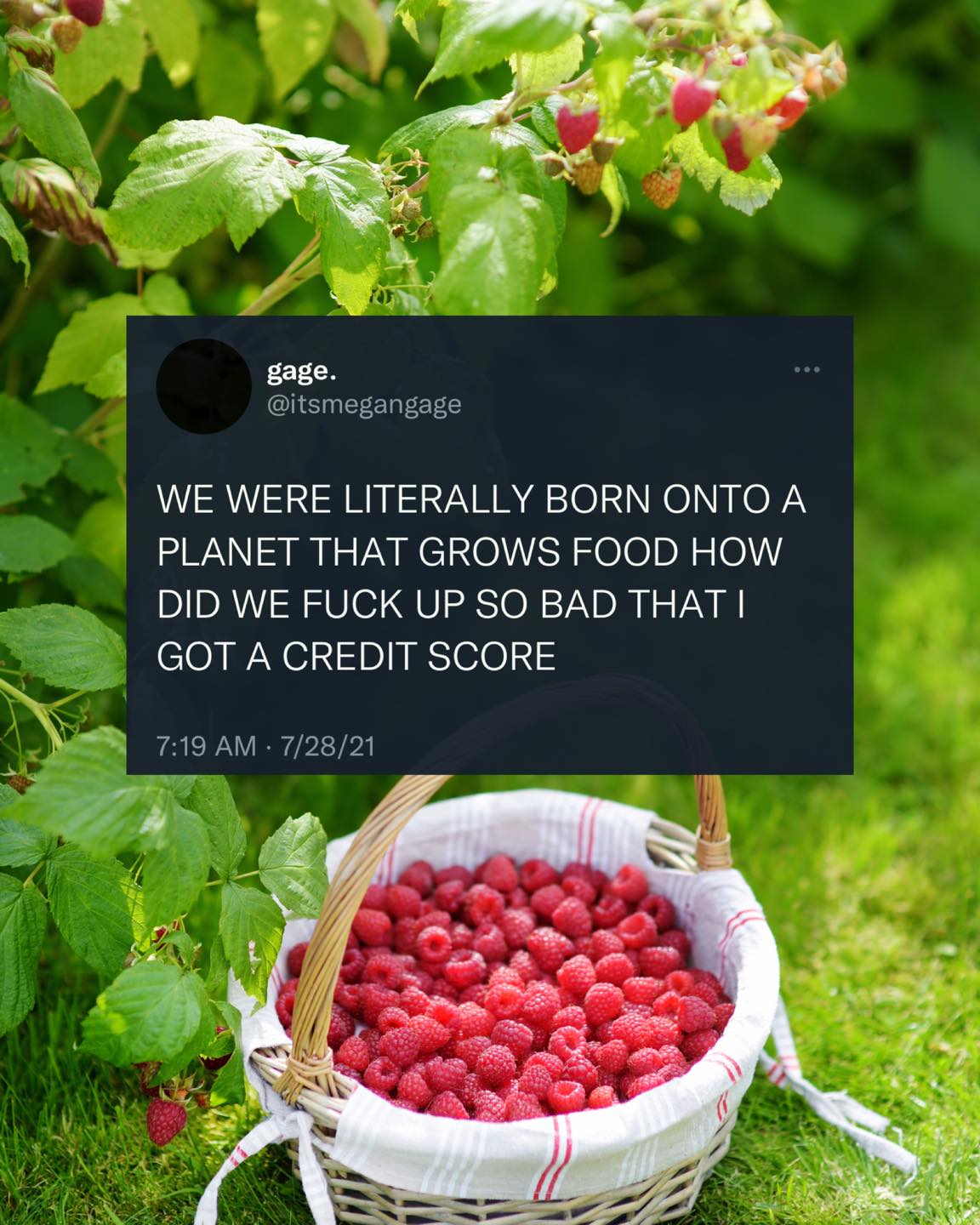 Okay, here's an analysis of the image and text, broken down into sections as requested. Due to the simplicity of the image and text, certain sections will be minimal or absent. **Visual Description** The image is a sq...