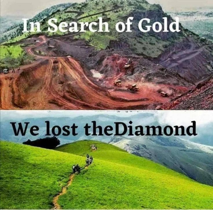 Okay, let's break down this powerful diptych image with the requested theoretical lenses. **Visual Description** The image is a diptych, meaning it consists of two juxtaposed panels. * **Top Panel: "In Search of Gold"...