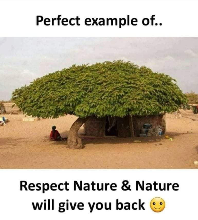 Okay, let's analyze the image and its accompanying text through several theoretical lenses. I'll provide sections where the concepts are applicable and relevant. **Visual Description** The photograph depicts a large,...