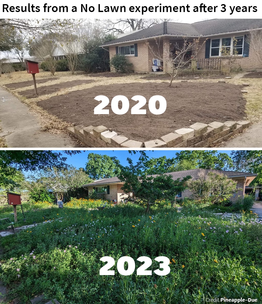 Okay, here's an analysis of the image, broken down into the requested theoretical sections. I'll note upfront that some of these approaches are more naturally applicable than others, and I'll indicate where I'm stretc...