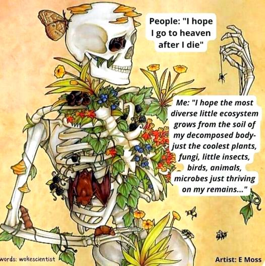Here's an analysis of the image, broken down into the requested sections where applicable. **Visual Description** The image is a digital illustration featuring a human skeleton adorned with vibrant plant life, insects...