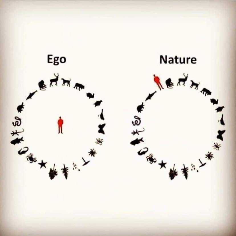 Okay, let's break down this image through the lenses you've requested. It’s a richly symbolic piece, and many of these frameworks can offer interesting interpretations. **Visual Description** The image features two ne...