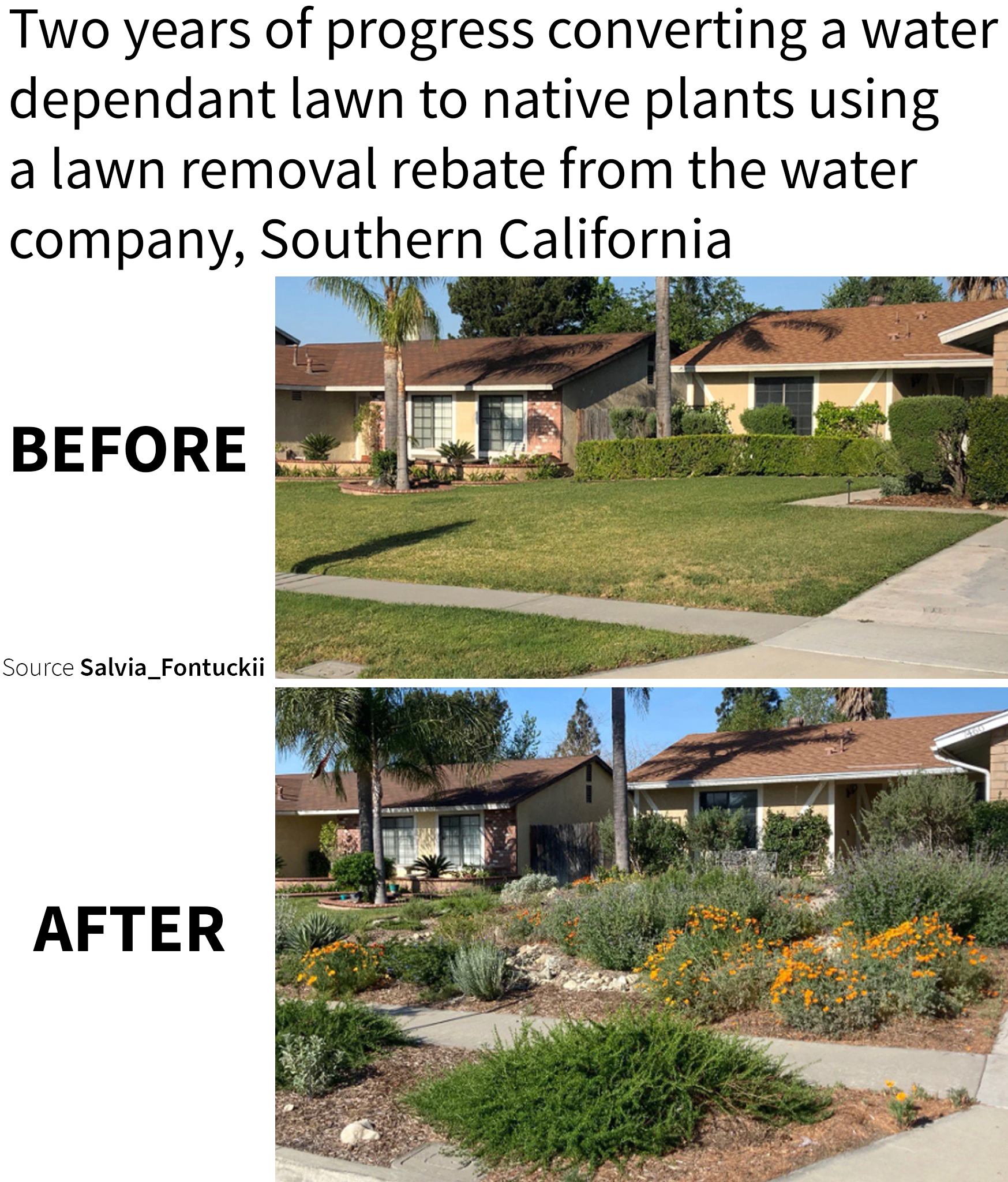 Okay, here's an analysis of the images, broken down into sections based on the requested theoretical frameworks. I’ll indicate why a section is *not* included if a framework doesn’t really apply strongly to the imager...