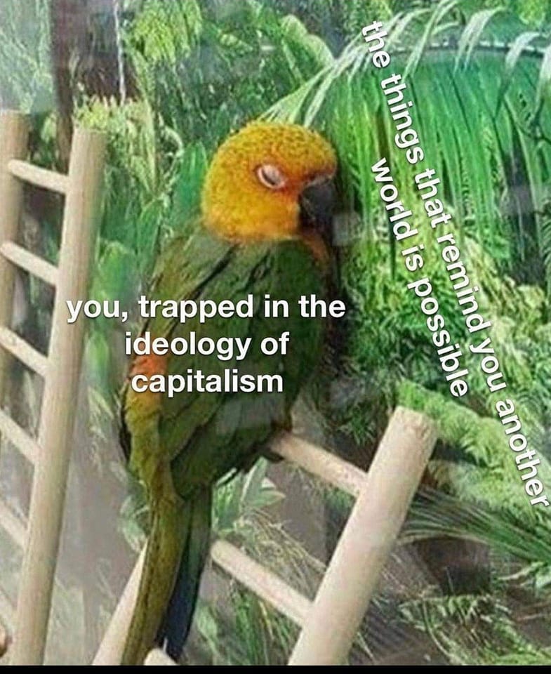 Okay, here's an analysis of the image and its accompanying text, broken down into sections based on the theoretical frameworks you requested. I'll only include sections where those frameworks apply meaningfully. ## Vi...