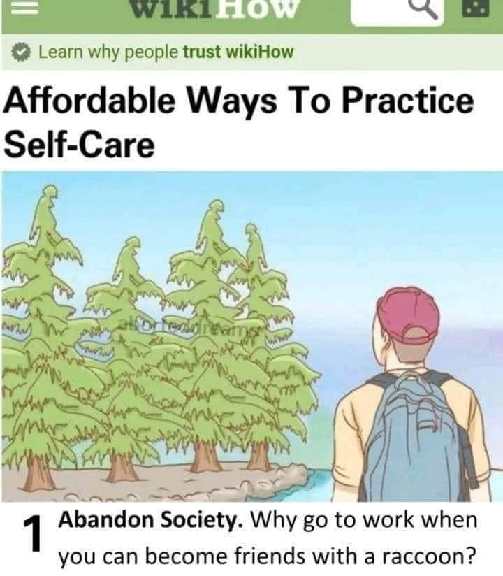 Okay, let's break down this image from WikiHow ("Affordable Ways to Practice Self-Care") using the requested theoretical lenses. It's a surprisingly rich image for analysis, especially given its simple presentation. *...