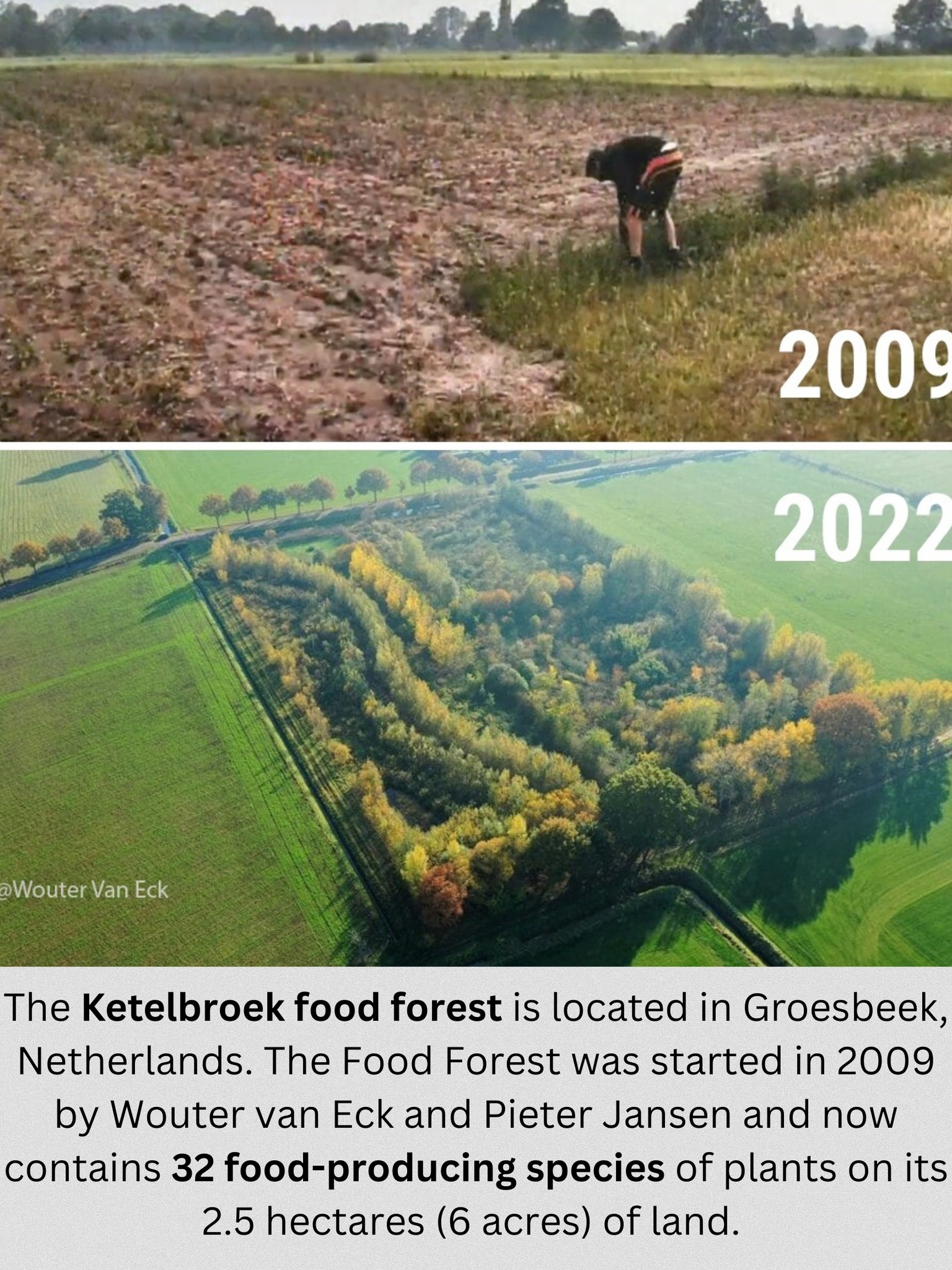 Okay, let's break down the image of the Ketelbroek Food Forest through the requested theoretical lenses. It's important to note that applying these frameworks can be subjective and multifaceted, and the depth of analy...