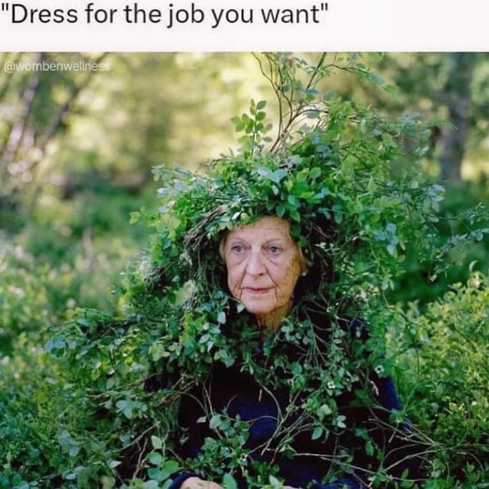 Okay, let's break down this intriguing image/meme with the headings you've provided. This is a fascinating prompt, as the image is ripe for multiple theoretical interpretations. **Visual Description** The image depict...