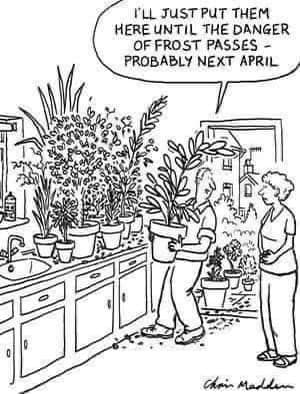 Okay, here's a breakdown of the cartoon using the requested frameworks, sectioned as you've requested, with a disclaimer that some frameworks will be more applicable (and developed) than others. I'll indicate where a...