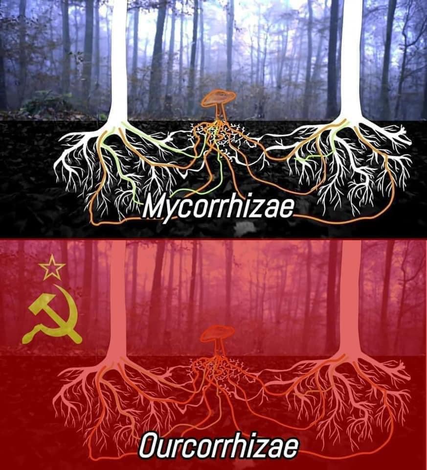 Okay, let's break down this image through the lenses you've requested. It's a complex visual and rich in potential for interpretation. **Visual Description** The image is a diptych – two panels presented side-by-side....