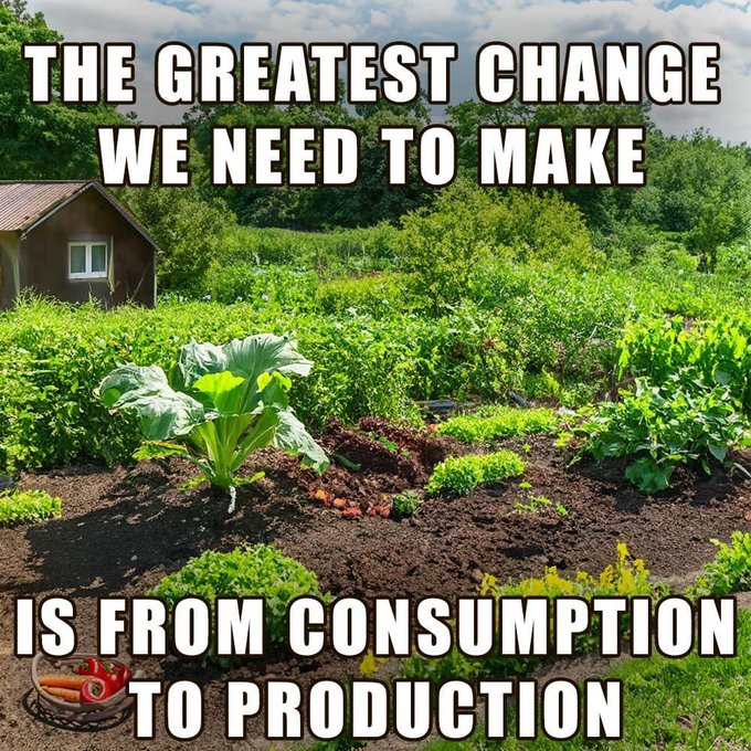 The meme is a play on the idea of cottagecore, a aesthetic that celebrates a simple, rustic way of living. The image shows a lush garden with a small cottage in the background, surrounded by vegetables and flowers. Th...