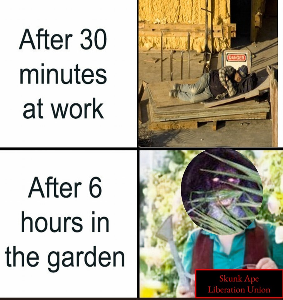 Okay, let's break down this fascinating image set through a series of theoretical lenses. It's a rich piece of visual communication, ripe for analysis. **Visual Description** The image is a two-panel meme, a digital d...