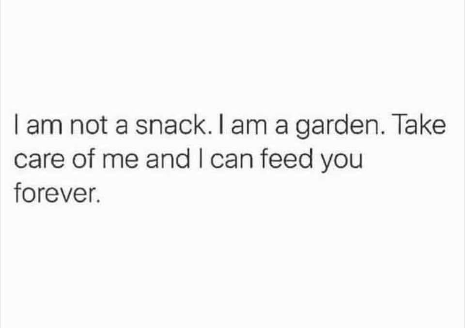 Okay, let's break down the text "I am not a snack. I am a garden. Take care of me and I can feed you forever" through the requested theoretical lenses. **Visual Description** The image consists of a pale grey backgrou...