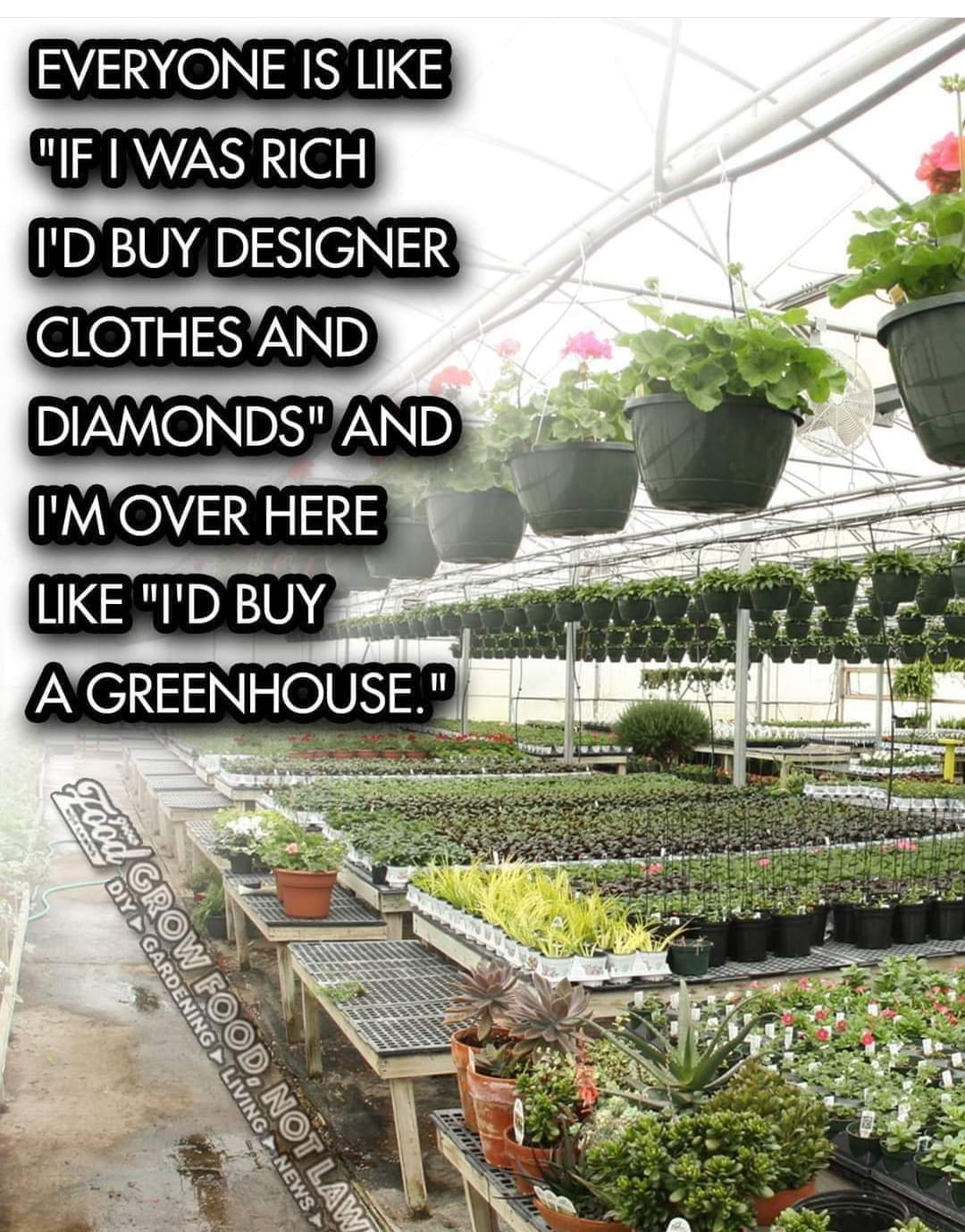 Okay, let's break down this image and the accompanying text using the requested theoretical lenses. **Visual Description** The image depicts the interior of a commercial greenhouse. Rows upon rows of potted plants, pr...