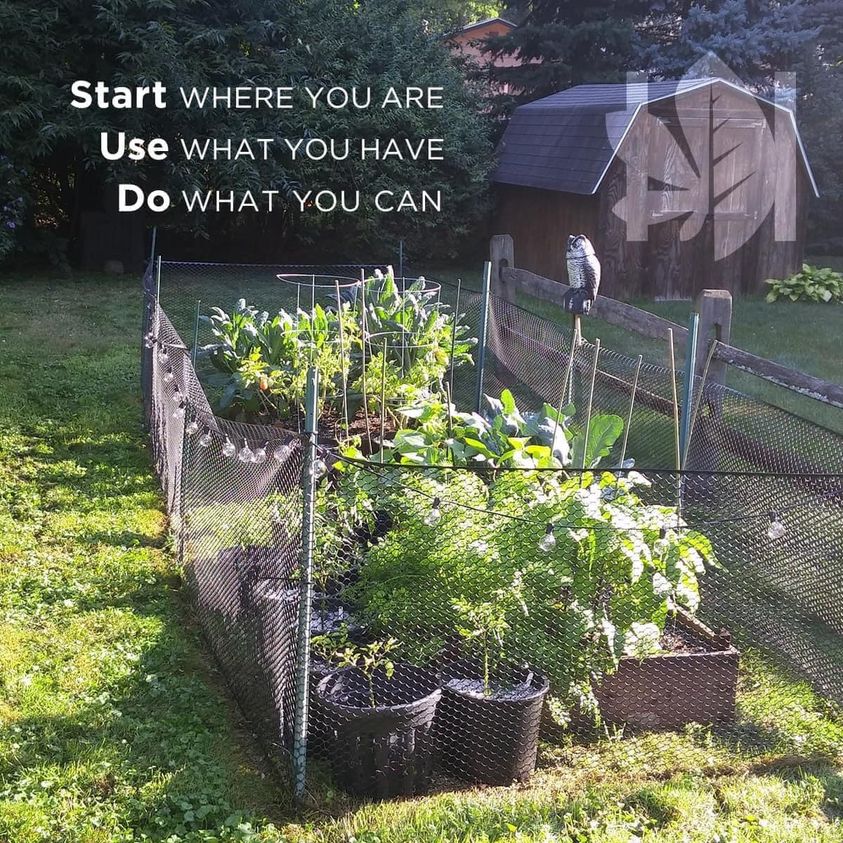 Okay, here's an analysis of the image, broken down into the requested theoretical lenses. I'll indicate which sections *don't* apply strongly, with a brief explanation. **Visual Description** The image depicts a small...