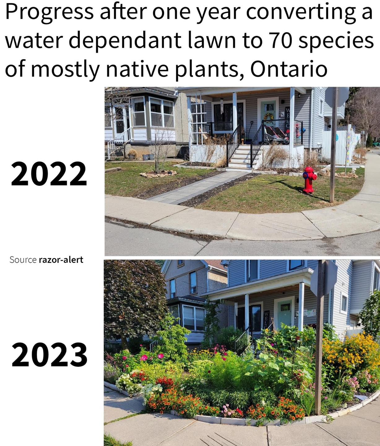 Okay, here's an analysis of the images provided, broken down into sections based on the requested theoretical frameworks, addressing each only where relevant. **Visual Description** The images depict a transformation...