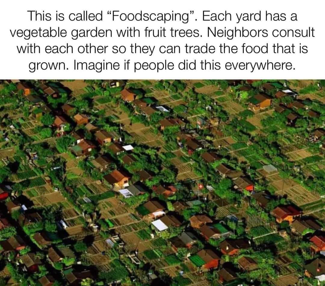 Okay, let's break down this image and the concept of "foodscaping" using the theoretical frameworks you've provided. Given the image and the description, some frameworks will be more applicable than others. **Please n...