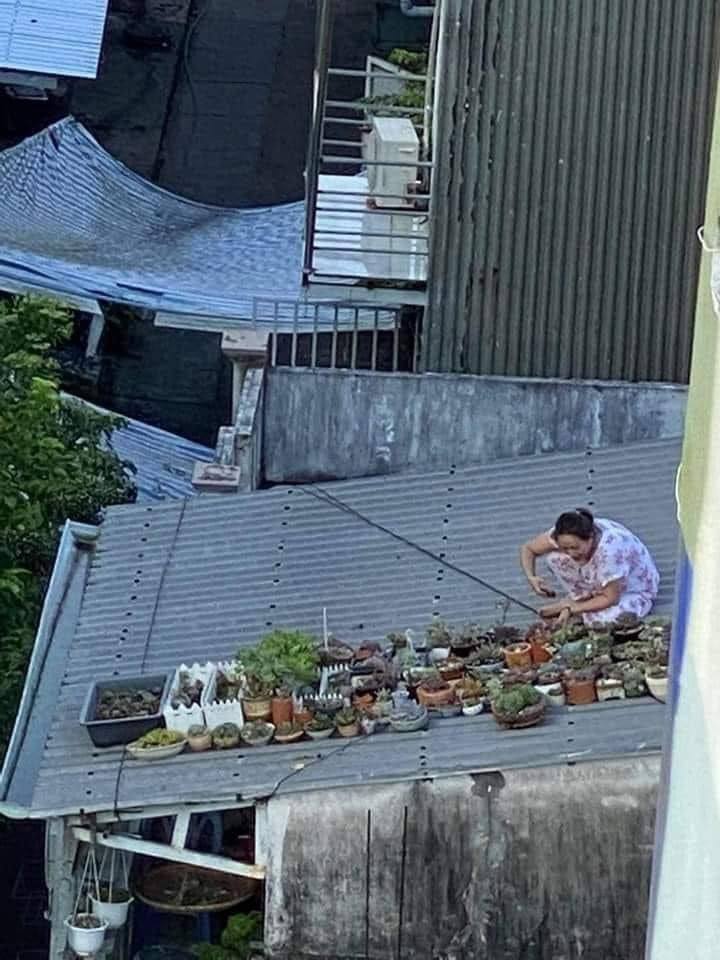 Okay, here's an analysis of the image, broken down into the sections you requested, *only where applicable*. Given the image's content, some sections will be more robust than others. I'll prioritize thoughtfulness ove...