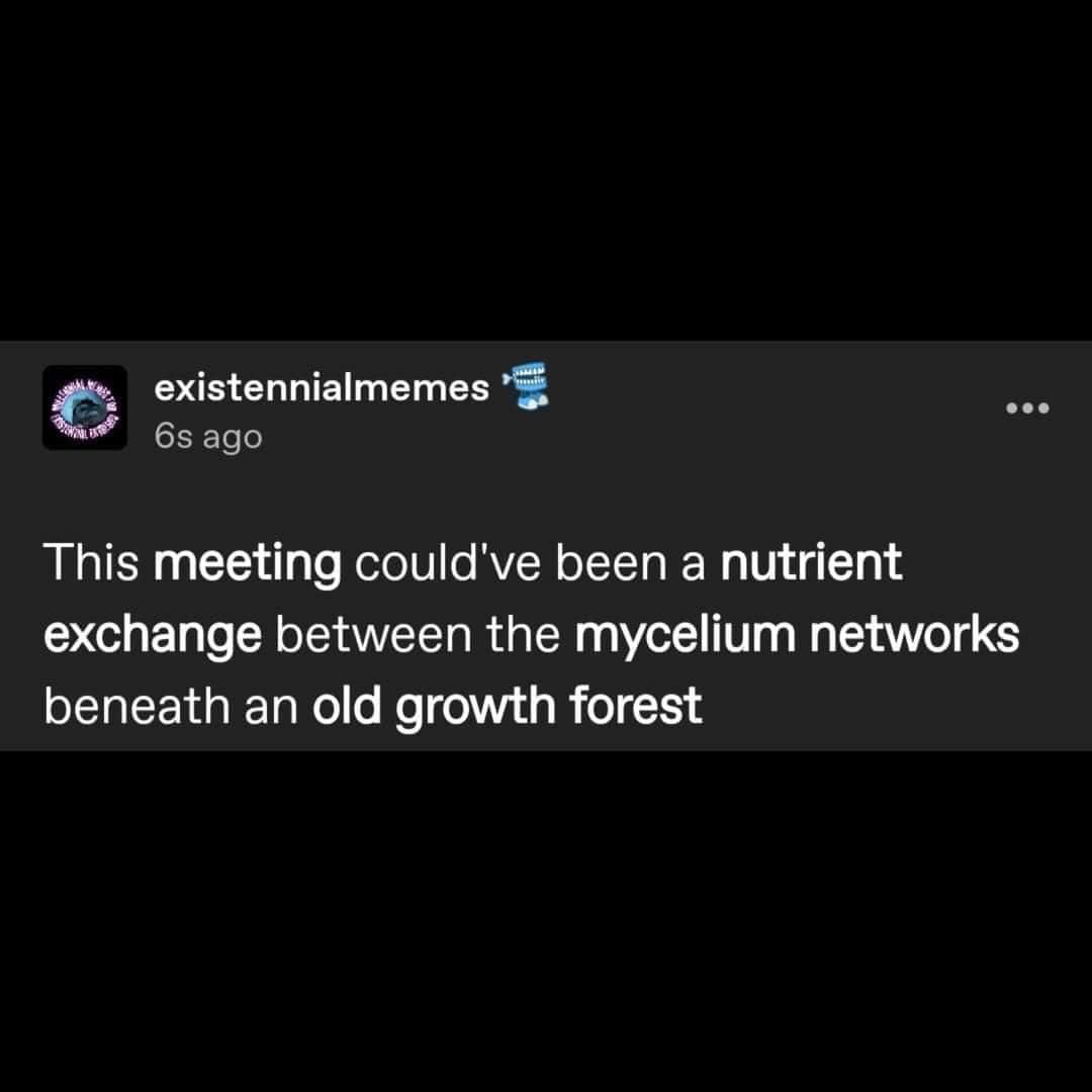 Okay, here's an analysis of the image and text, broken down into sections as requested, applying the theoretical frameworks where appropriate. It's important to note that applying these frameworks often involves *inte...