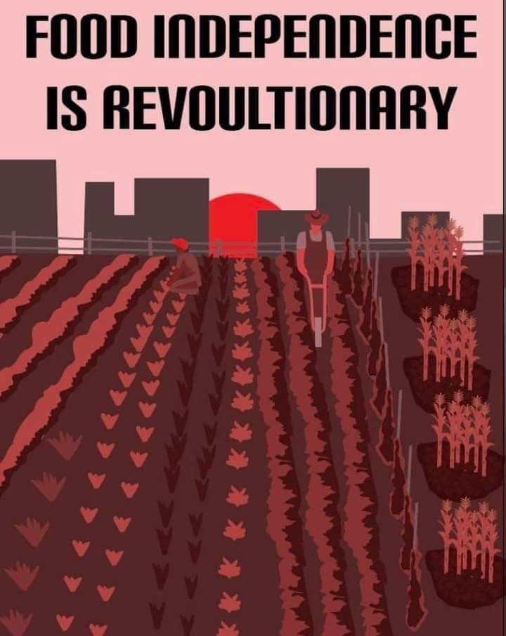 Okay, here's an analysis of the image, broken down into sections as requested, including only the sections that are relevant and applicable to the imagery and text. **Visual Description** The image is a stark and grap...