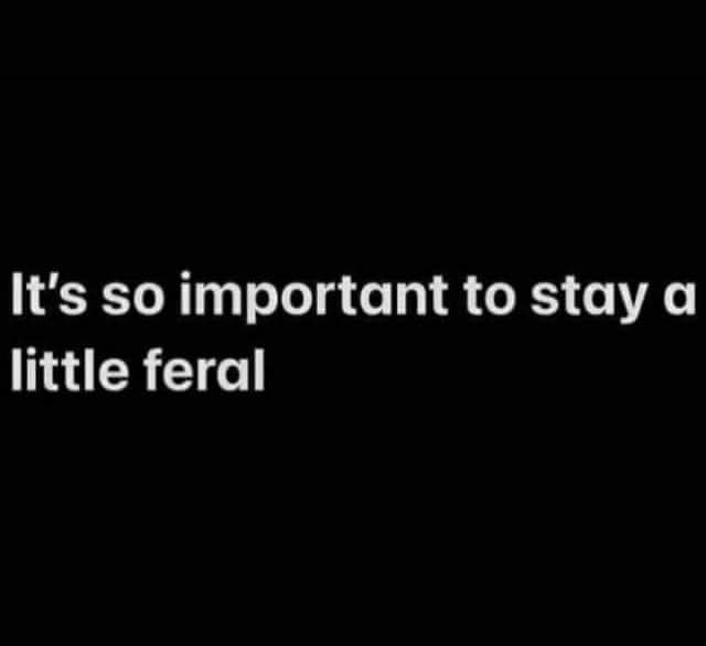 Here's an analysis of the image, broken down into the requested theoretical lenses, with sections only where applicable: **Visual Description** The image is stark and minimalist. It features white text ("It's so impor...