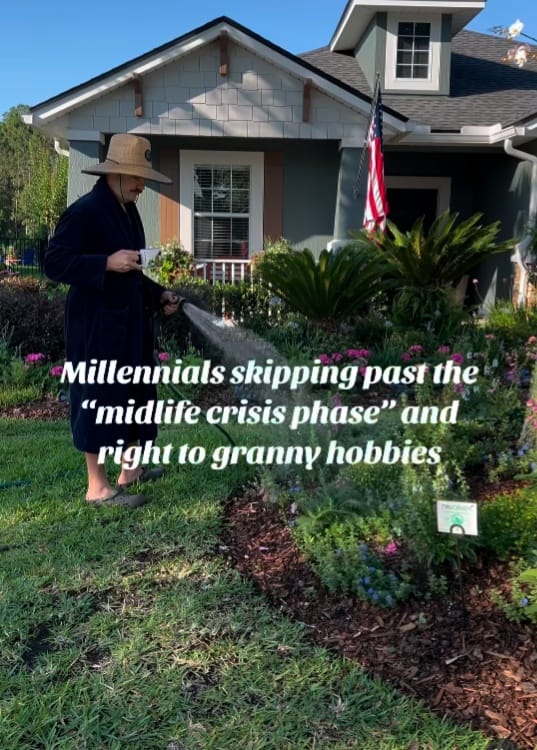 Okay, let's break down this image with the requested theoretical lenses. Given the image's content, not *every* section will be as robust as others. I'll flag when a section isn't strongly applicable. **Image Descript...