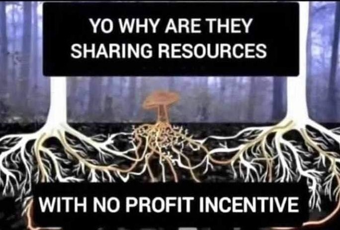 Okay, let's break down this image with the requested theoretical lenses. It's a complex image and we'll see how much each framework applies. **Visual Description** The image depicts a network of interconnected tree ro...
