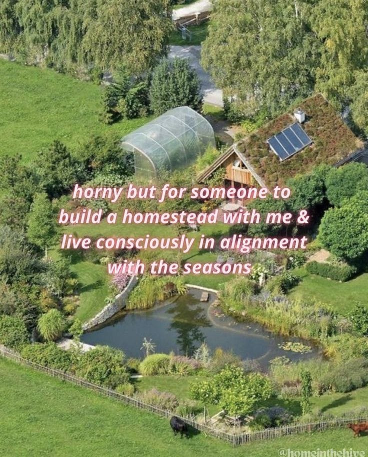 Okay, let's break down this image and its accompanying text through several theoretical lenses. It's a surprisingly rich image for analysis, given its apparent simplicity. **Visual Description** The image is a high-an...