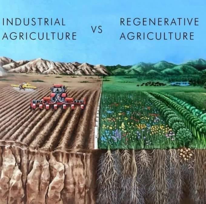 Okay, let's break down this image through several theoretical lenses. Here's a multi-section analysis based on your request. Keep in mind that these frameworks can overlap and are interpretations; others are possible....