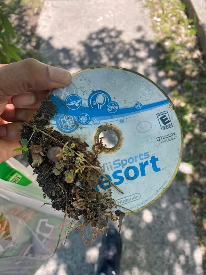 Okay, here's an analysis of the image, broken down into sections as you requested. Not every section will be relevant, and I'll be mindful of the limitations of interpreting a single image. I will err on the side of m...