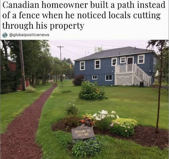 Okay, let's break down this image and its implied story through the lens of different theoretical frameworks. It's a compelling little scenario that opens up a surprising amount of analysis! **1. Visual Description**...