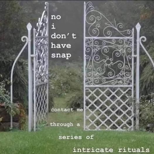 Okay, let's break down this image with a multi-layered analysis as requested. **Visual Description** The image presents a wrought iron gate situated on a grassy lawn, with lush green foliage visible in the background....