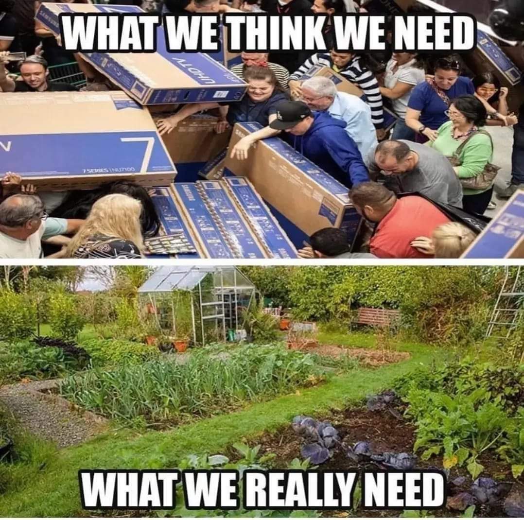 The meme is a humorous commentary on the contrast between the idealized, idyllic lifestyle of a cottagecore enthusiast (who values simplicity, nature, and self-sufficiency) and the reality of their desire for a high-t...