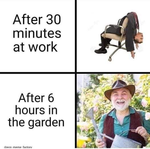 This meme is a humorous commentary on the contrast between the idealized, idyllic nature of cottagecore aesthetics and the harsh realities of the modern workday. The meme juxtaposes a serene image of a person enjoying...