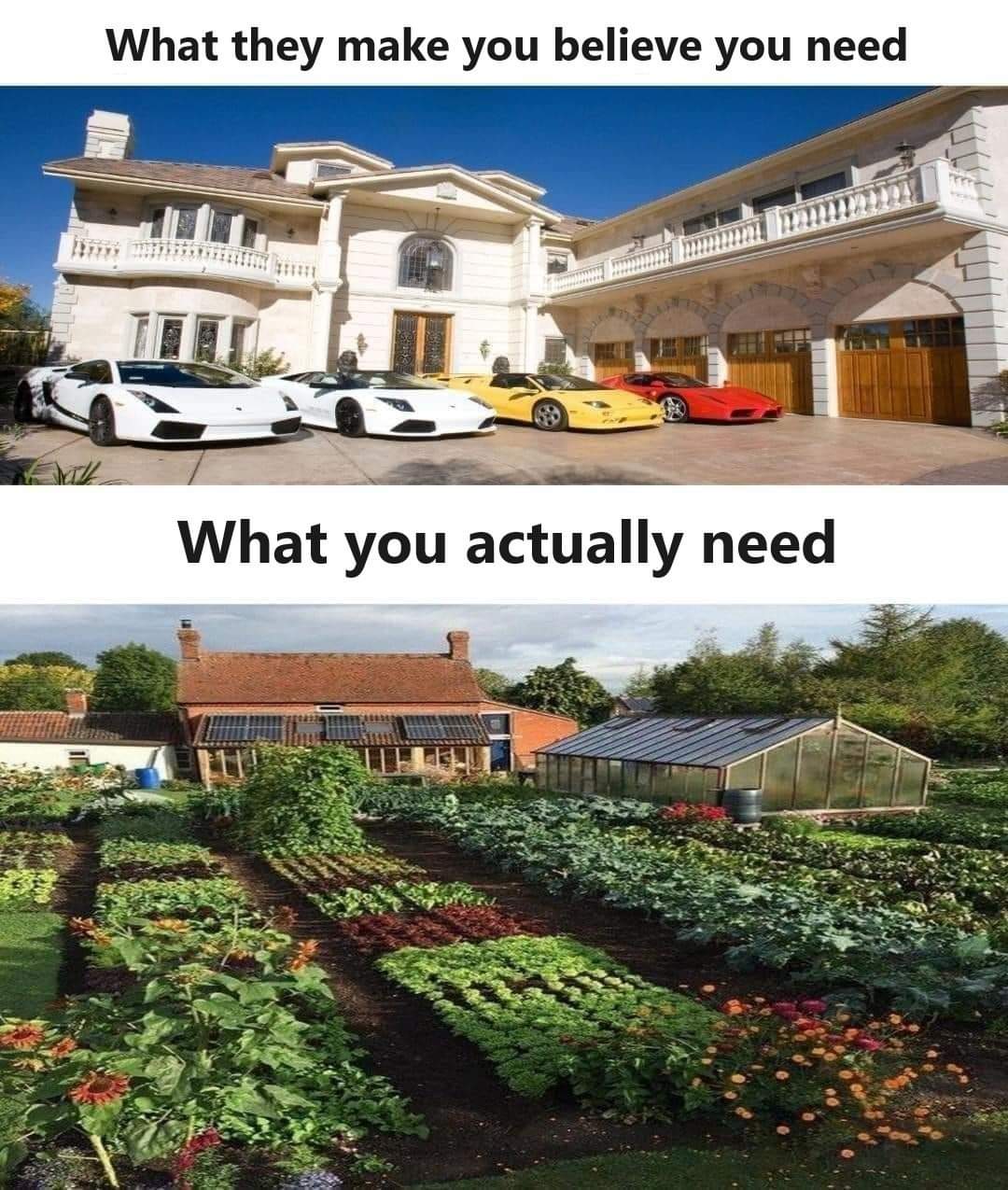 The meme is a humorous contrast between two lifestyles: one of luxury and wealth (top image), and one of simplicity and self-sufficiency (bottom image). The top image shows a mansion with multiple cars, while the bott...