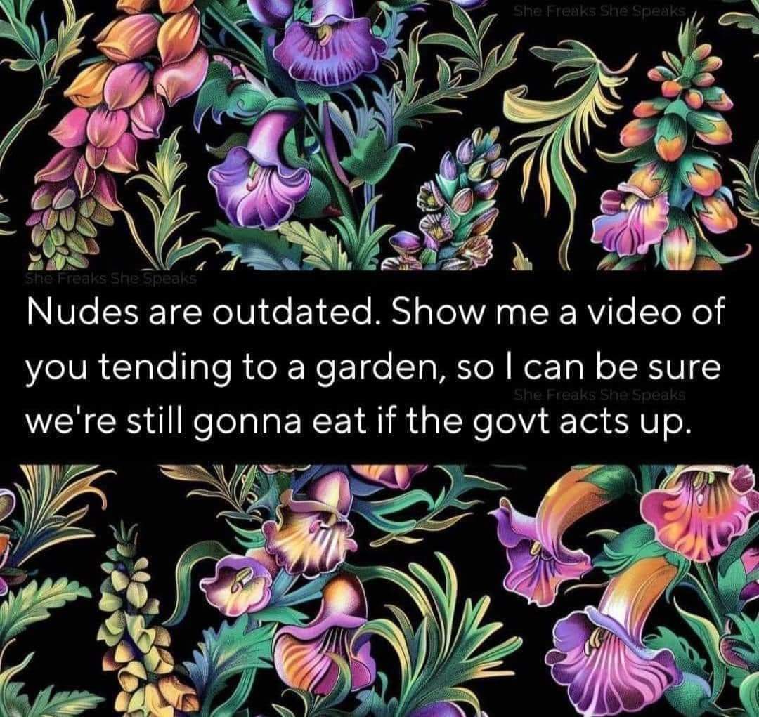 The meme is a humorous commentary on the current state of social media and the internet. The image features a collage of cottagecore-inspired floral patterns, with a quote overlayed on top. The text reads: "Nudes are...