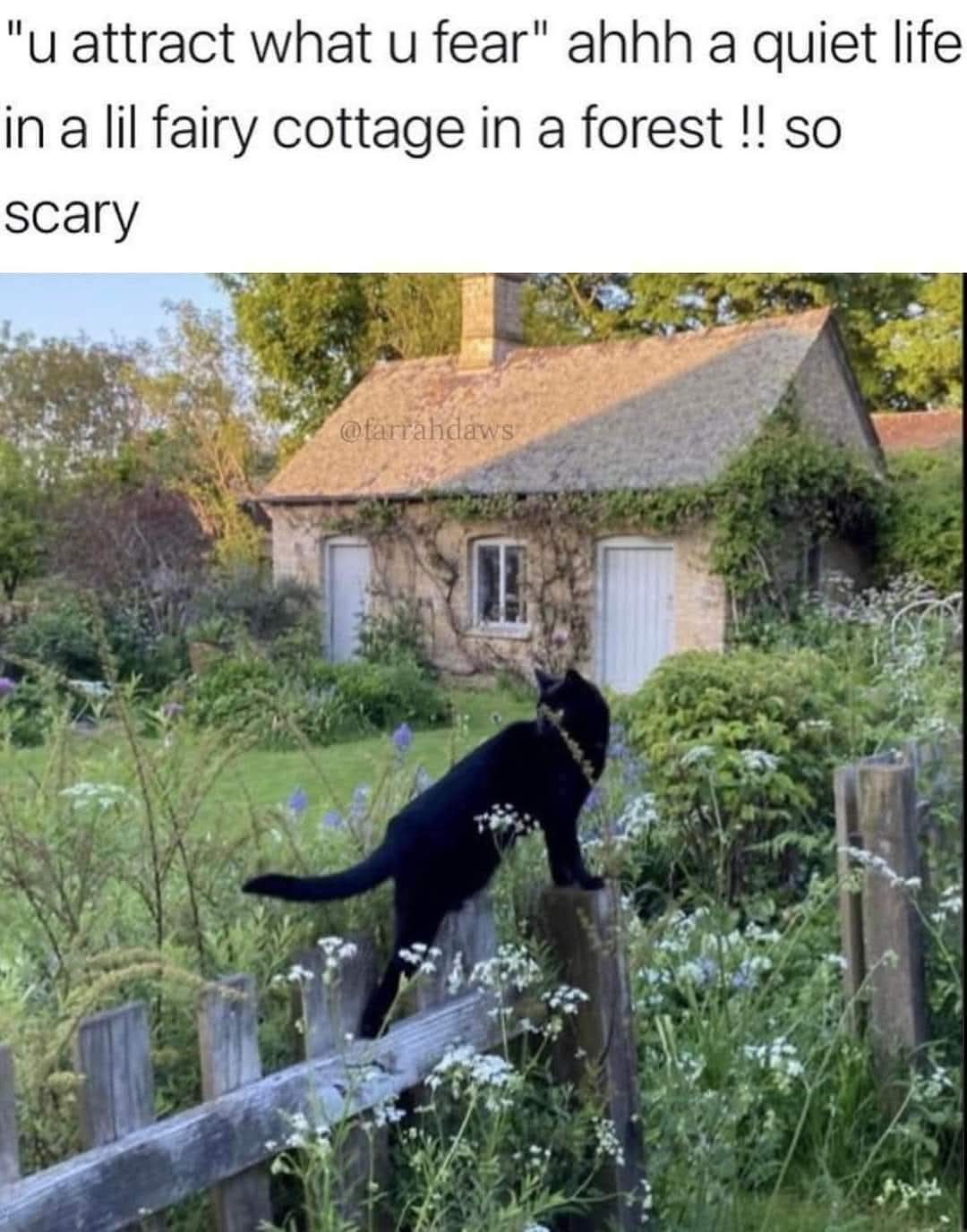 This meme leans into the Cottagecore aesthetic by placing a sleek black cat perched on a rustic wooden fence in front of a quaint, ivy-covered stone cottage nestled in a lush forest. The text, "u attract what u fear,"...