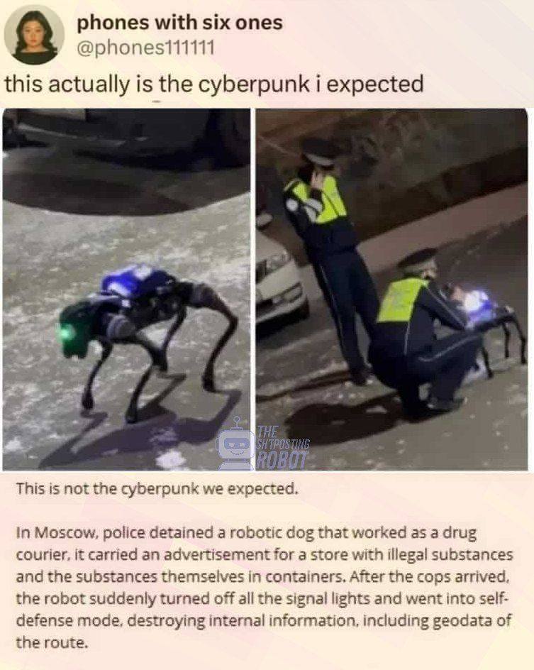 The meme features a split-screen image where a robotic dog is shown on the left with spindly legs and glowing green and blue lights. On the right, police officers are standing over it. The caption explains that this r...