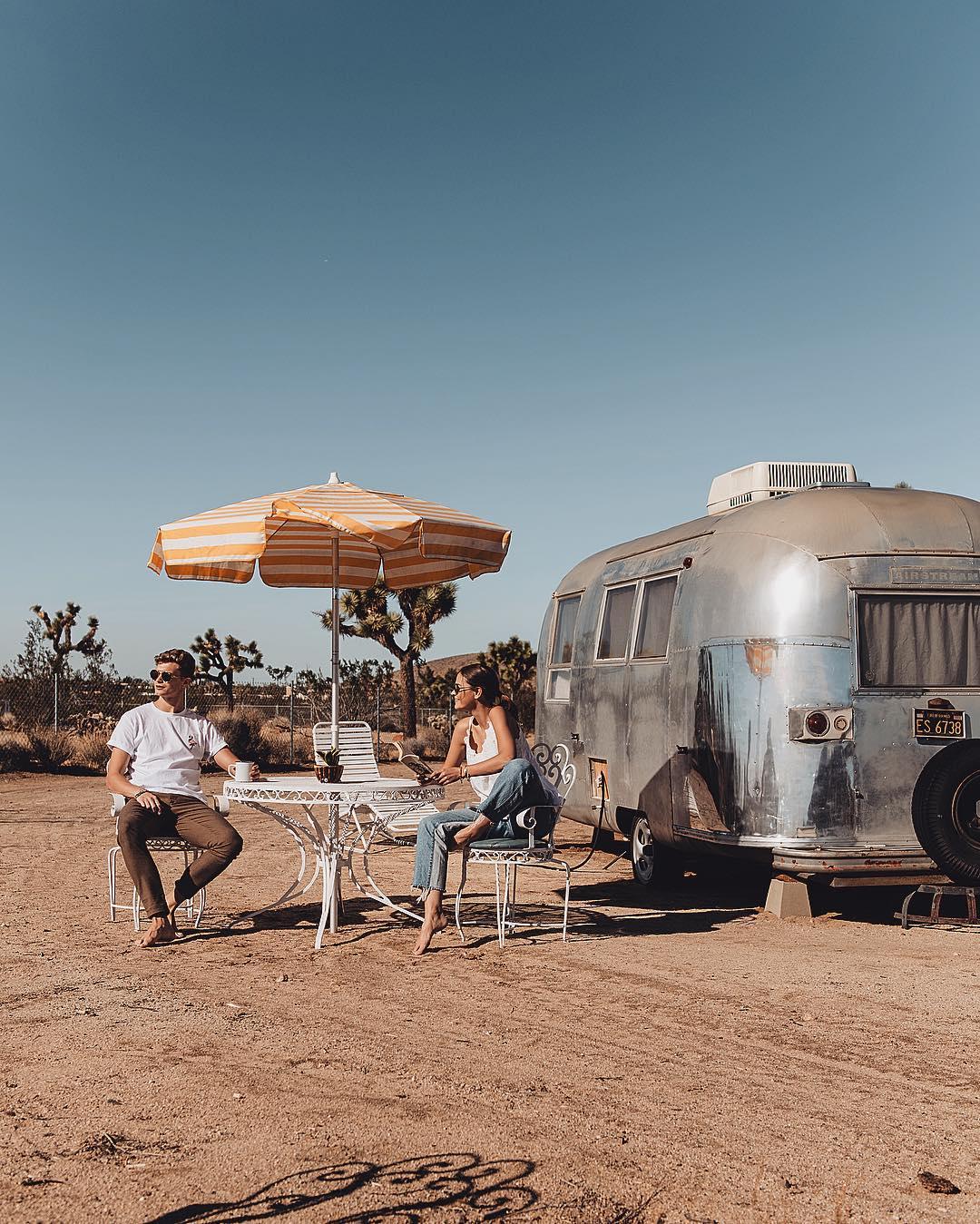 Okay, let's break down this image through a variety of critical lenses. ## Visual Description The image depicts a sun-drenched scene, likely in a desert environment (possibly Joshua Tree, California, given the vegetat...