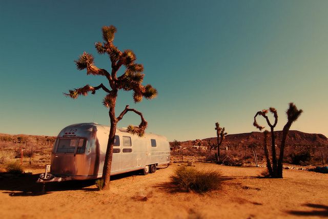 Okay, let's break down this image through various theoretical lenses. I'll organize it into sections based on the headings you provided, only including those that genuinely apply to a meaningful interpretation of the...