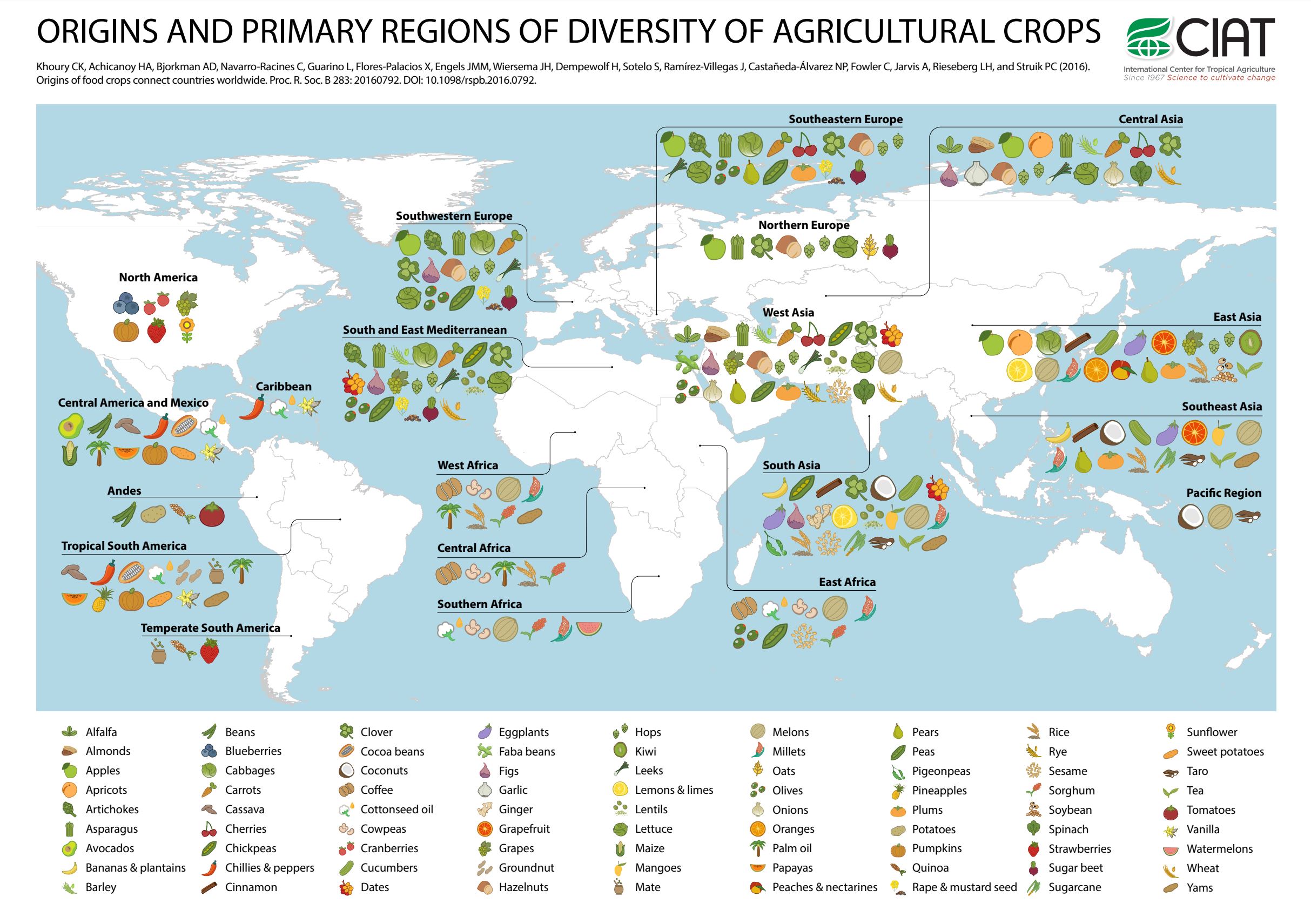 Okay, here's a breakdown of the image, addressing the requested theoretical lenses where applicable. Since not every lens will be a perfect fit, I'll indicate when something is a bit of a stretch, or when a connection...