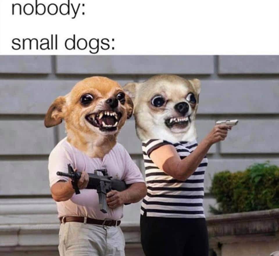 Okay, here's an analysis of the image, broken down into sections relevant to the requested theoretical frameworks. Be aware that applying these complex theories to a meme is somewhat playful and involves stretching in...