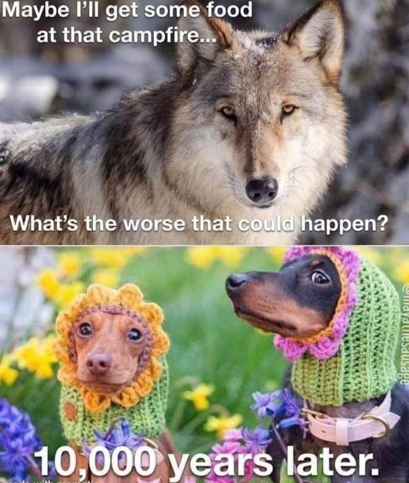 Okay, here's an analysis of the image, broken down into sections based on the theoretical frameworks you requested. It's important to note that applying all of these frameworks to a single meme/image is a bit…intense!...