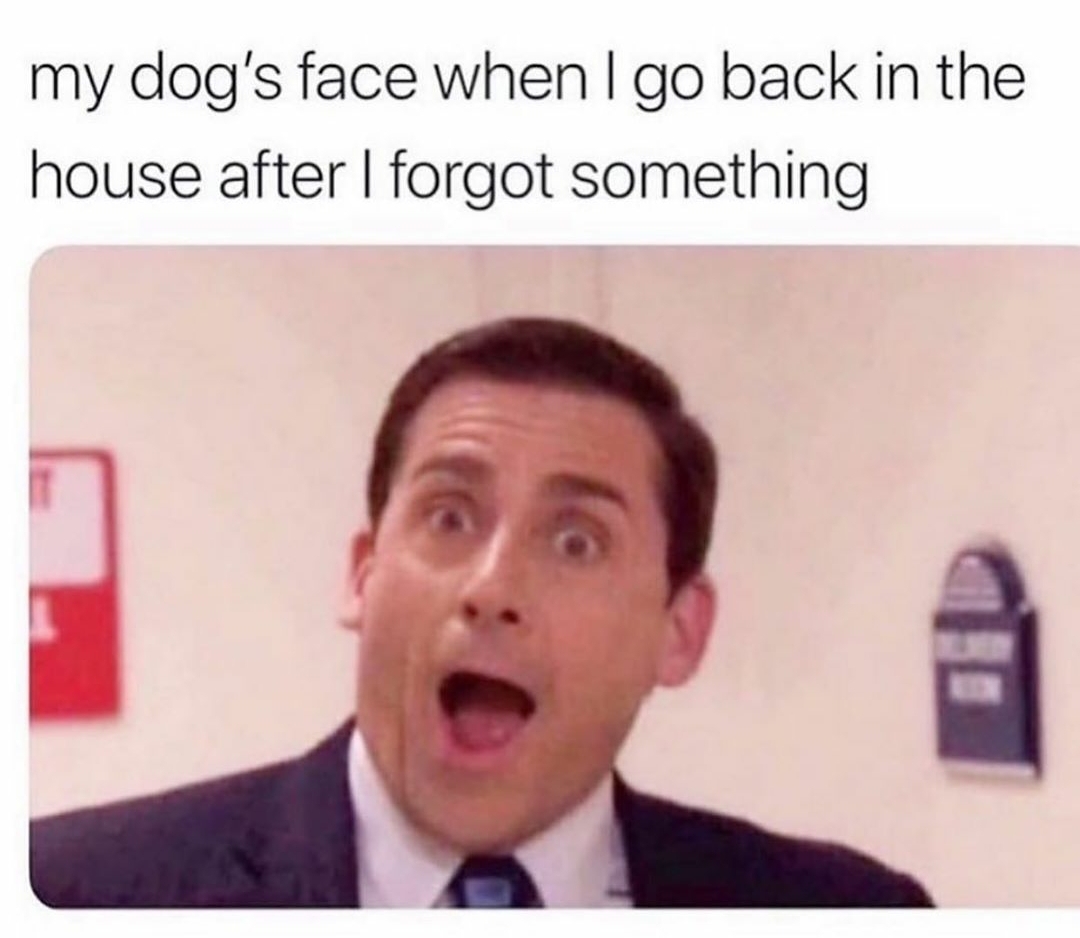 Okay, let's break down this meme using the requested theoretical lenses. Keep in mind that fitting all of these frameworks *onto* a single meme can be a bit of a stretch, and some will be more relevant than others. **...