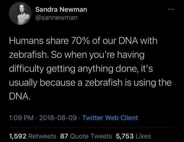 Okay, let's break down this Twitter post through several theoretical lenses. **Visual Description** The image is a screenshot of a Tweet from Sandra Newman (@sannewman). It shows her profile picture (a black and white...