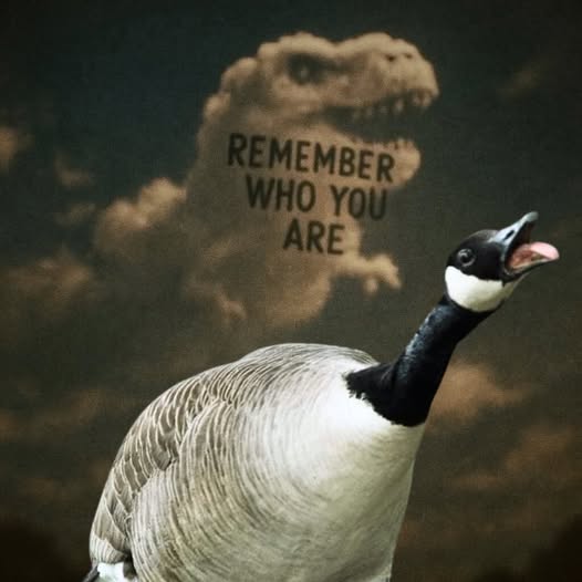 Okay, let's break down this intriguing image through the lenses of various critical theories. **Visual Description** The image features a Canadian goose with its neck arched upwards and beak open in what appears to be...